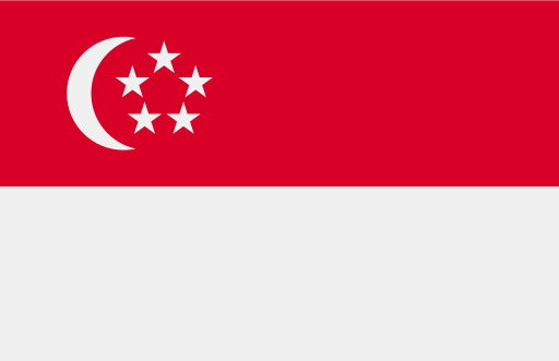 🇸🇬